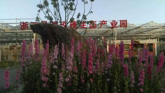 景明玫瑰園